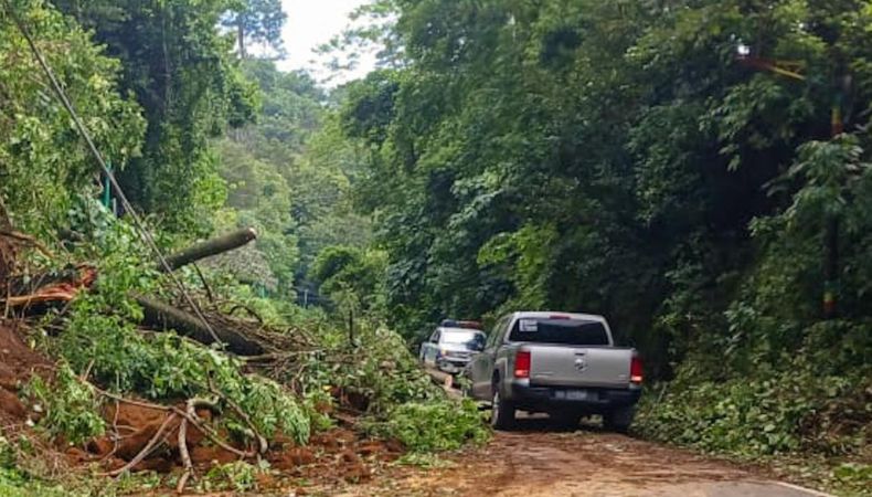 La Policía Nacional Civil reportó el derrumbe de árboles sobre la carretera que de Santa Ana conduce a Sonsonate, a la altura de Chalchuapa.