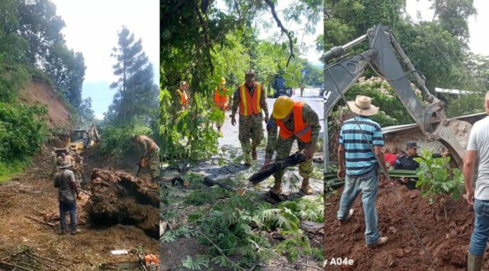 Las últimas lluvias en el territorio salvadoreño han provocado luto y dolor en dos familias. Así como derrumbes y árboles caídos.