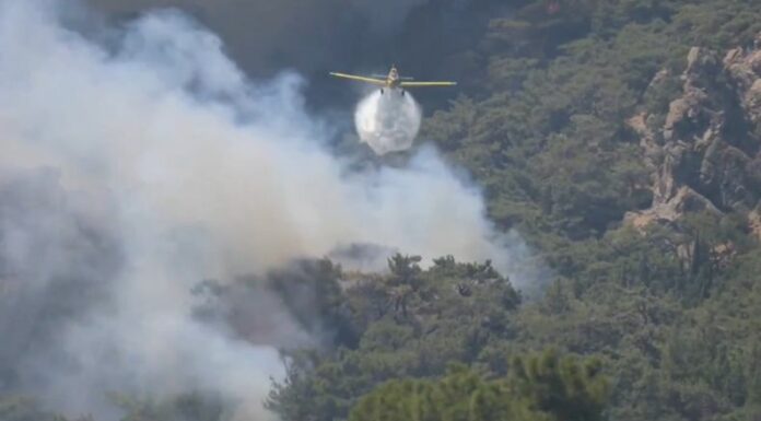 Los incendios forestales en Turquía continúan dejando a miles de personas sin techo, debido a la intensidad de las llamas.