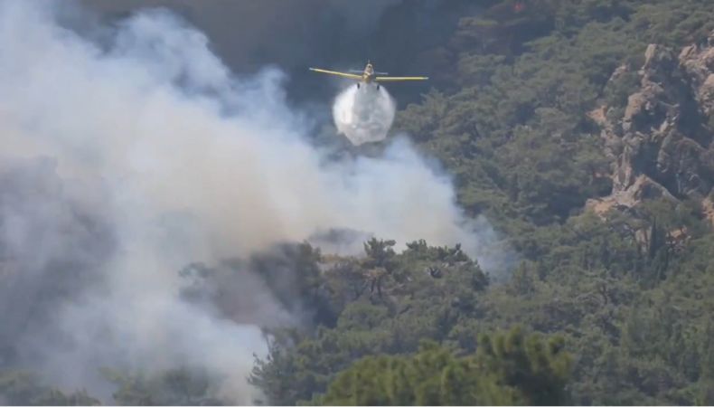 Los incendios forestales en Turquía continúan dejando a miles de personas sin techo, debido a la intensidad de las llamas.