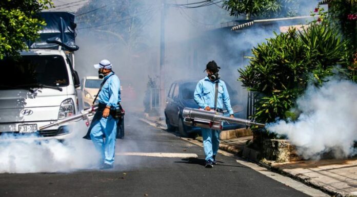 El encargado del Ministerio de Salud (Minsal), Francisco Alabi, informó que existe una disminución de casos de dengue en el país.