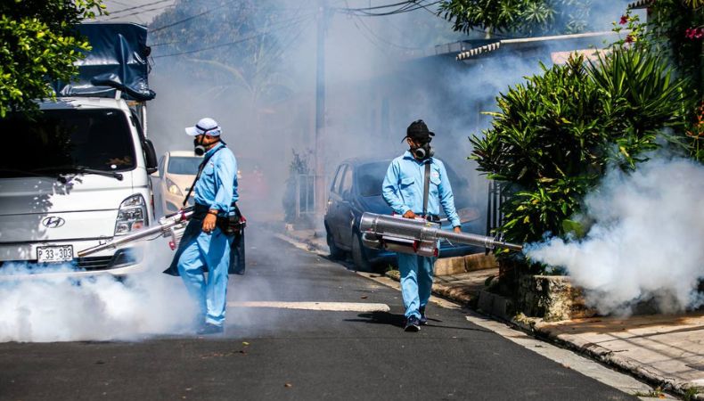 El encargado del Ministerio de Salud (Minsal), Francisco Alabi, informó que existe una disminución de casos de dengue en el país.