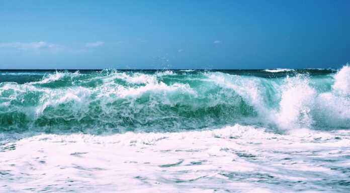 El MARN señala que, del 20 al 25 de agosto, las playas salvadoreñas experimentarán un nuevo periodo de mareas vivas.