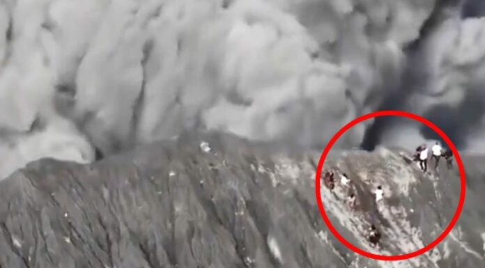 ¡Vivos de milagro! 24 escaladores se salvaron de milagro cuando estaban en la cima del volcán Dukono que entró en erupción.