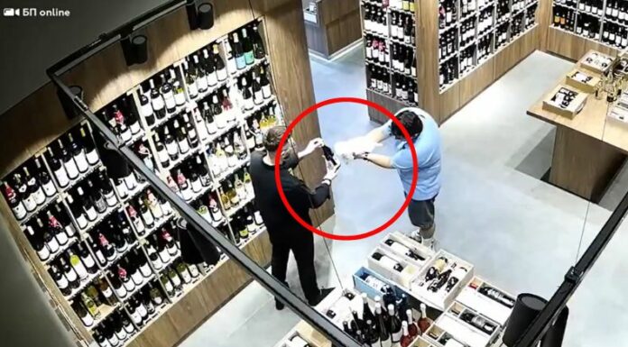 Un canino ayudó de manera sorprendente a su dueño a escoger la mejor botella de vino, como todo un 