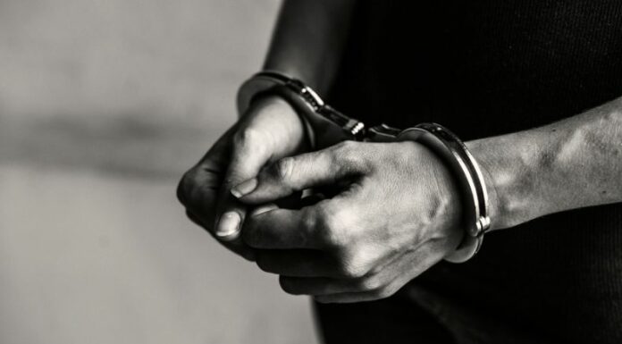 La Policía Nacional Civil (PNC) detuvo a una mujer, quien sería la responsable de cometer un homicidio el pasado 7 de noviembre.