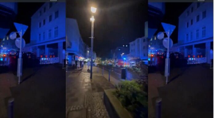 Un atentado con cuchillo que se originó en la ciudad alemana de Solingen ha cobrado la vida de varias personas que compartían en un festival.