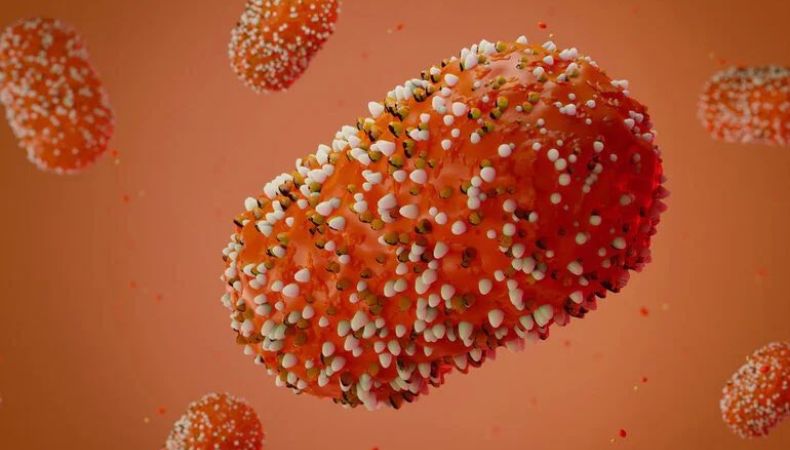 Autoridades de salud argentinas confirmaron el primer caso de Mpox. Se trata de un joven de 22 años de edad.