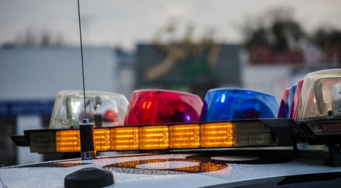 El presunto autor de un asesinato de personas en medio de un festival de Alemania, se entregó a las autoridades.