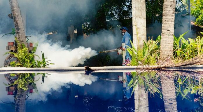 Diferentes países en el mundo conmemoraron el Día Internacional contra el Dengue, que tiene por objetivo prevenir esta enfermedad.