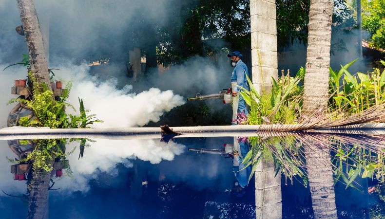 Diferentes países en el mundo conmemoraron el Día Internacional contra el Dengue, que tiene por objetivo prevenir esta enfermedad.