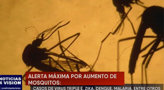 Autoridades de salud de Massachusetts, Estados Unidos, declararon alerta por caso de virus triple E, causada por mosquitos.