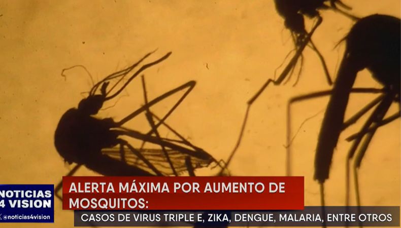 Autoridades de salud de Massachusetts, Estados Unidos, declararon alerta por caso de virus triple E, causada por mosquitos.