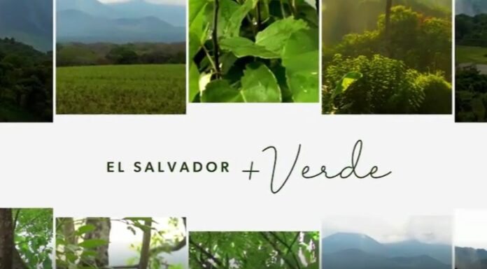 Fundación TCS y FUNDEMAS unen esfuerzos para contribuir a que todo El Salvador comience a ponerse en 