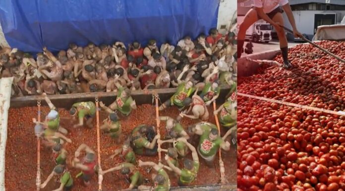 Un peculiar festival se realizó en Valencia, España, se trata de 