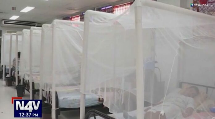 Las autoridades sanitarias en Honduras continúan en alerta ante el elevado número de fallecidos por dengue en lo que va del 2024.