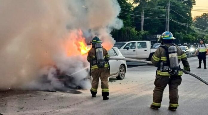 El incendio ocurrió sobre sobre la Alameda Juan Pablo II, San Salvador. Por fortuna, no se reportaron personas lesionadas.