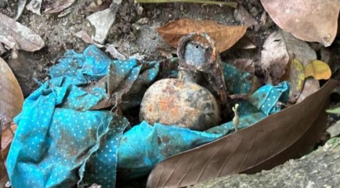 La Policía Nacional Civil (PNC) informó que encontró dos granadas de mano en la colonia El Carmen, del distrito de San Marcos.