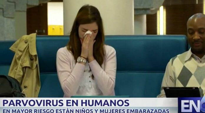 Autoridades de salud reportaron un incremento de casos de parvovirus en humanos en varias partes del mundo, por lo que emitieron alertas.