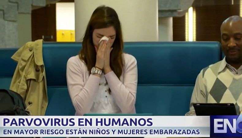 Autoridades de salud reportaron un incremento de casos de parvovirus en humanos en varias partes del mundo, por lo que emitieron alertas.
