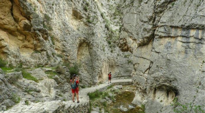 Las autoridades de España continúan con la búsqueda de un turista desaparecido en la isla Mallorca, en España.