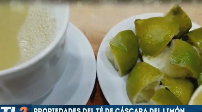 Los beneficios que tiene la cáscara del limón resulta favorecedor para el organismo, ya que ayuda a mejorar la digestión.