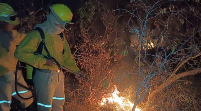 El gobierno de Bolivia declaró emergencia nacional tras los intensos incendios forestales que están ocurriendo en el país.