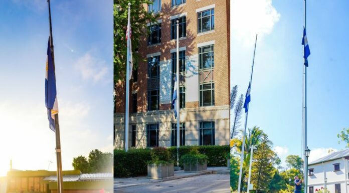 Diferentes consulados, embajadas e instituciones de diferentes partes del mundo se han sumado a ondear la bandera a media asta.