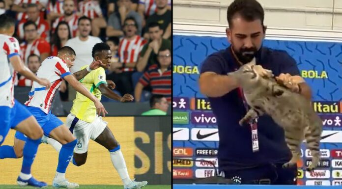 El incidente que ocurrió en Qatar 2022 parece que le ha acostado muy caro a Brasil, que no levanta cabeza en los últimos juegos.