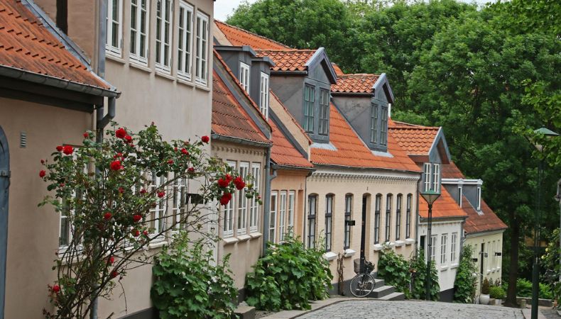 Un estudio del PNUD indica que 40 de cada 100 familias salvadoreñas viven en condiciones de hacinamiento. Sonsonate encabeza la lista.