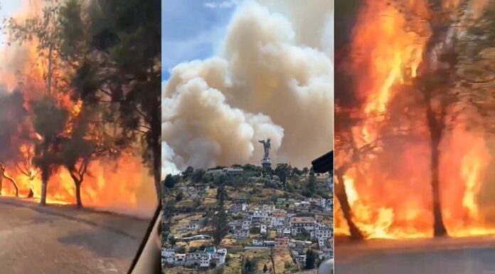 Un incendio forestal de grandes proporciones se registró en el sector “El Panecillo”, en el centro de Quito, Ecuador.
