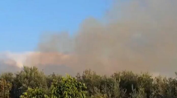 Los hutíes de Yemen, lanzaron un misil balístico hipersónico contra Israel, el cual no dejó heridos, pero prometieron más ataques.