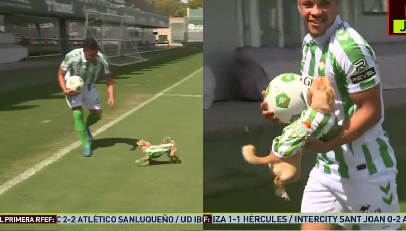 La mascota del futbolista brasileño, Vítor Roque, fue protagonista durante su presentación oficial con el Betis.