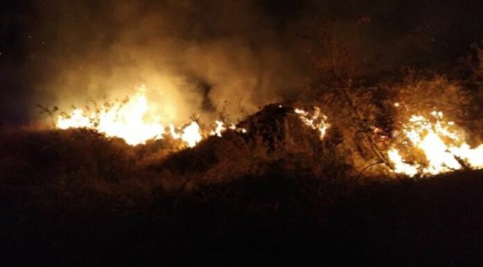 Los incendios forestales afectan varias zonas andinas y amazónicas de Perú, consumiendo más de 1,500 hectáreas en todo el país.