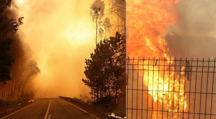 Los incendios forestales en Portugal mantienen activo el sistema de emergencias. El fuego propagado ya registra víctimas mortales.