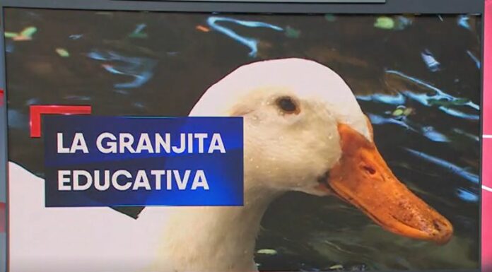 La Granjita educativa: La Tierra es un lugar ideal en que grandes y pequeños pueden conocer todas las especies que viven en una granja.