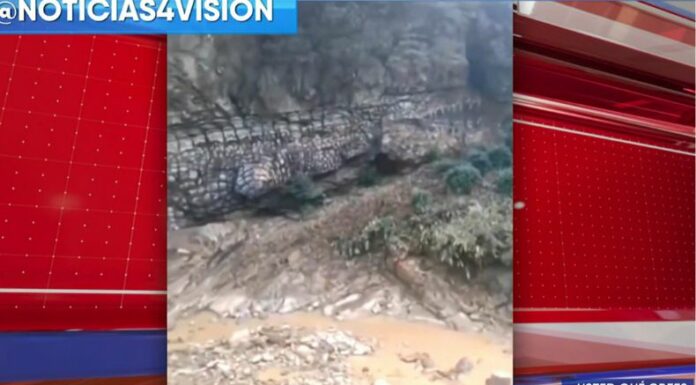 En redes sociales se viralizó un video sobre el hallazgo de una misteriosa roca que tiene forma de cocodrilo.