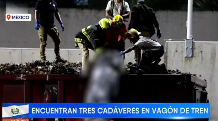 En los últimos días en México se ha desatado enfrentamientos entre 'Los Chapitos' y 'Los Mayos' por el control del cartel de Sinaloa.