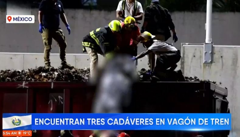 En los últimos días en México se ha desatado enfrentamientos entre 'Los Chapitos' y 'Los Mayos' por el control del cartel de Sinaloa.