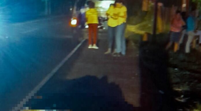 La Policía Nacional Civil (PNC) reportó que un ciclista perdió la vida luego de ser atropellado por un vehículo en Zacatecoluca.