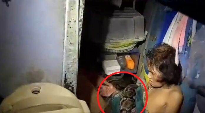 La mujer fue sorprendida por el animal mientras lavaba los platos, cuando sintió una mordida en su pierna.