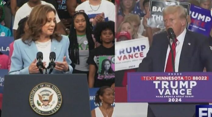 En Estados Unidos, nuevos sondeos muestran un empate entre los candidatos Harris y Trump, en la cual, la vicepresidenta mantiene ventaja.