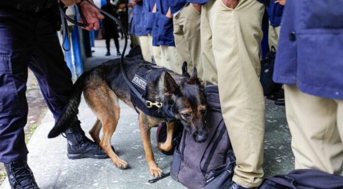 Varios agentes de la División Antinarcóticos junto a nuestros binomios caninos, ejecutaron los registros preventivos.