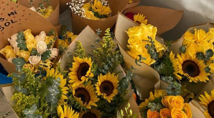 Cada 21 de septiembre se vuelve tendencia el regalar y recibir flores amarillas. Pero, ¿cuál es el origen de esta tradición?