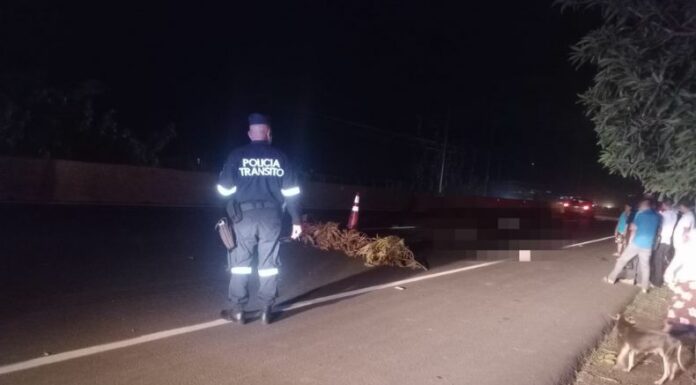La Policía Nacional Civil (PNC) reportó la muerte de una persona, al ser atropellada por un vehículo en la carretera hacia Acajutla.