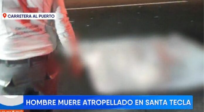 En lo que va del año, 360 peatones han perdido la vida a causa de los accidentes de tránsito, según datos de Onasevi.