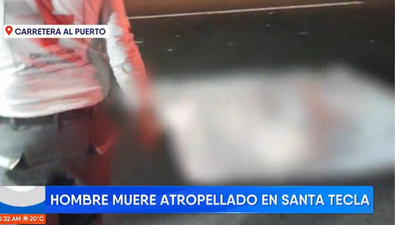 En lo que va del año, 360 peatones han perdido la vida a causa de los accidentes de tránsito, según datos de Onasevi.