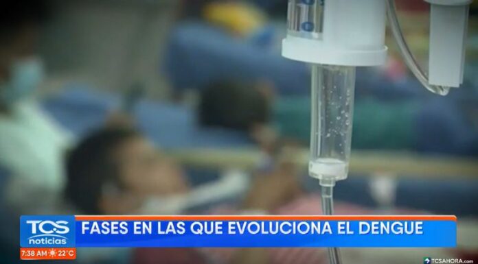 Conozca, en voz de los expertos, cómo prevenir, identificar y tratar los casos de dengue que puedan presentarse en menores de edad.