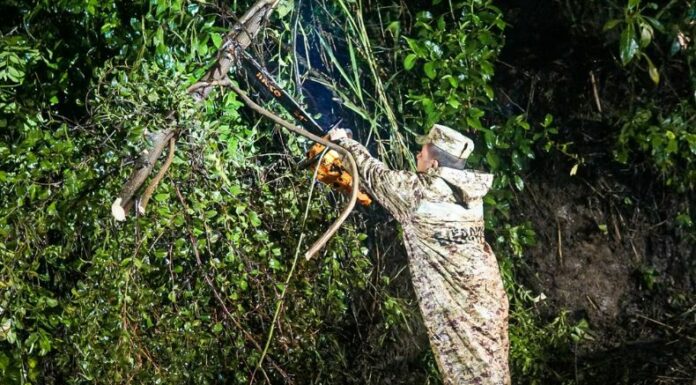 Protección Civil realiza la remoción de un árbol caído que obstruye el paso vehicular en la carretera que conduce a Ahuachapán Centro.