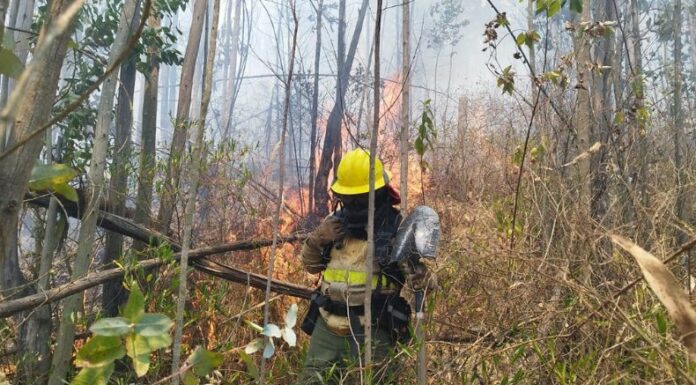 Actualmente, Ecuador se enfrenta a una severa sequía hidrológica, que favorece el incremento de los incendios forestales.